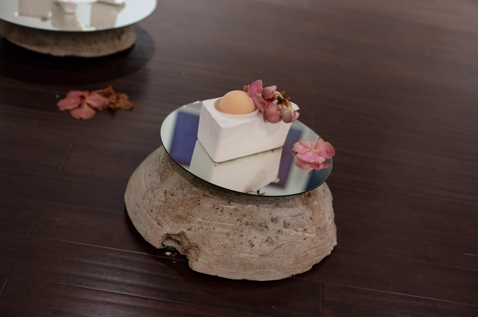 Adam Rico