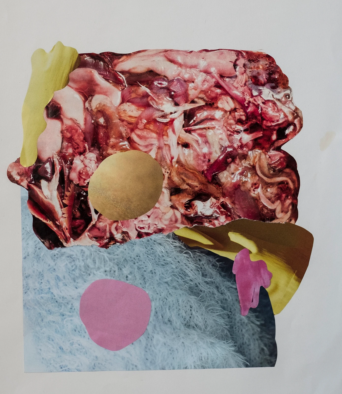 Tex Kerschen - Swine