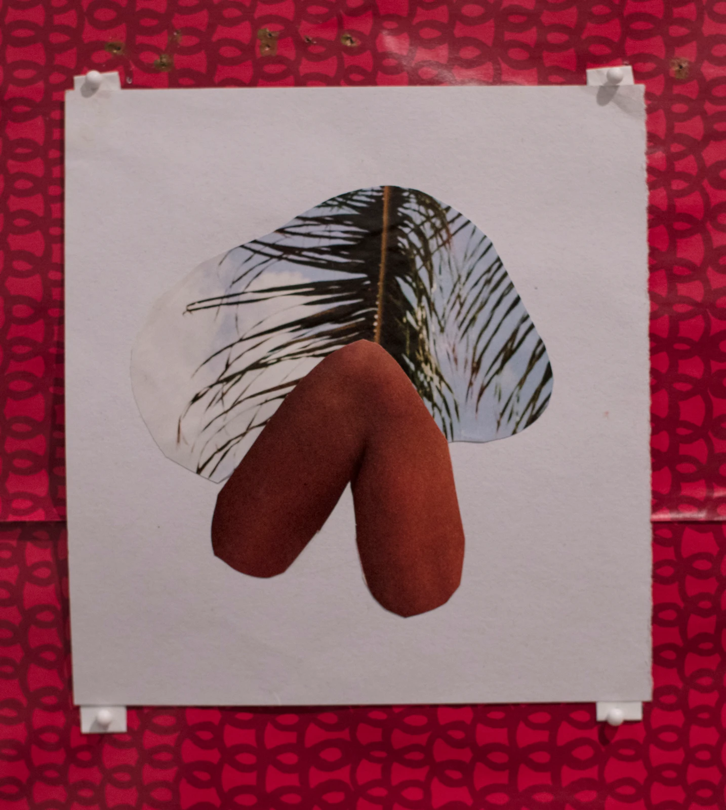 Tex Kerschen - Swine